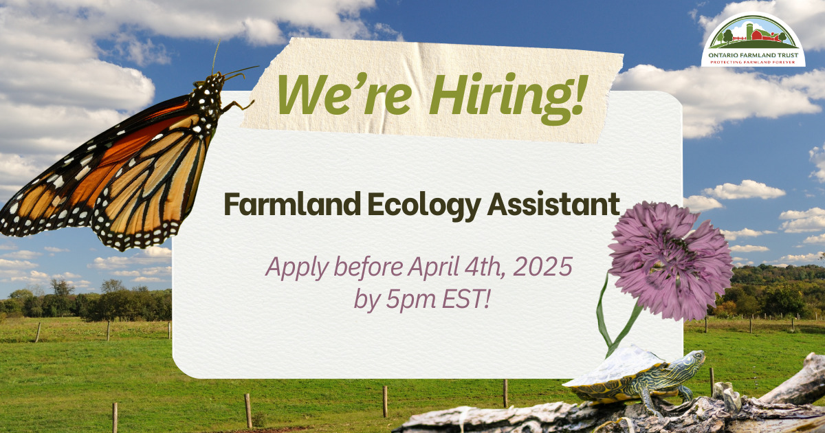 We’re Hiring! Farmland Ecology Assistant