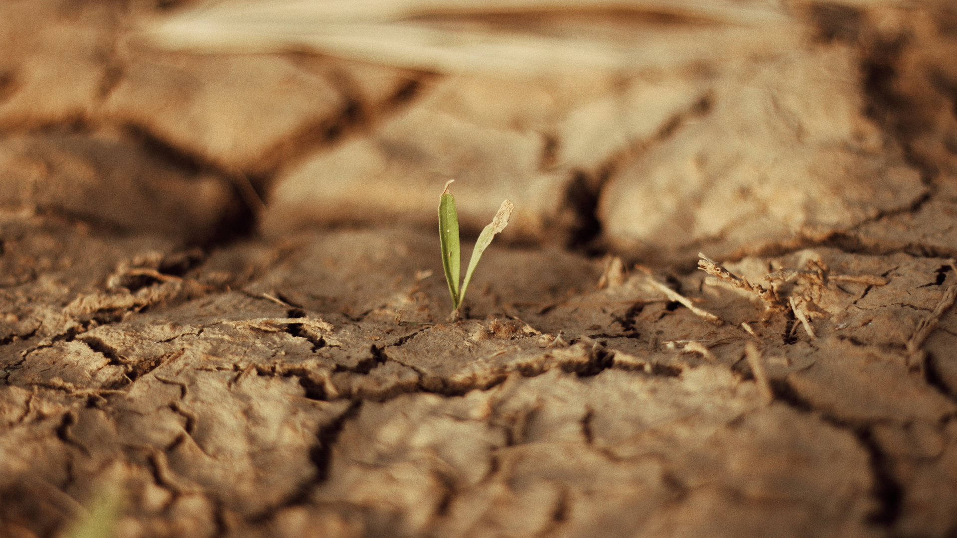 Agriculture and Food Systems: Threatened by Climate Change