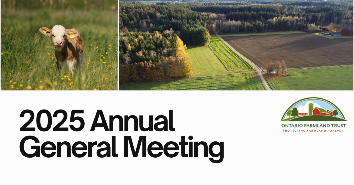 2025 Annual General Meeting