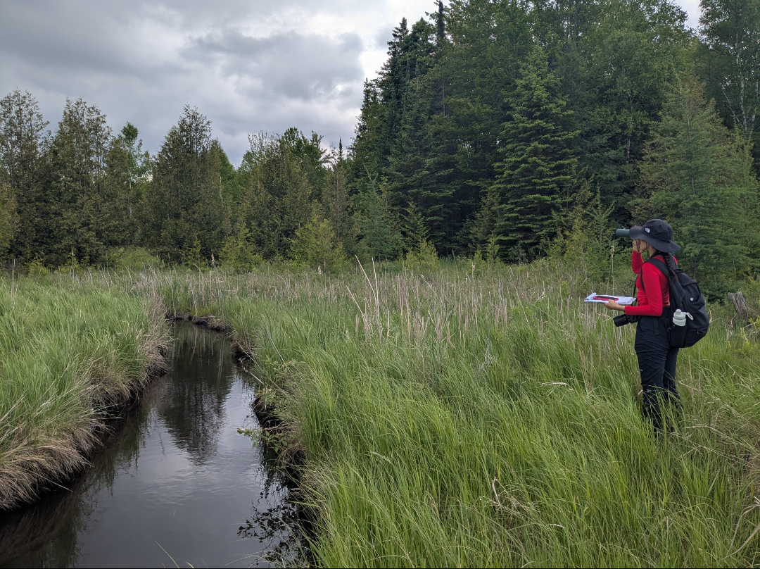 A Summer Among the Fields and Forests: Harpreet’s Co-op Experience with OFT