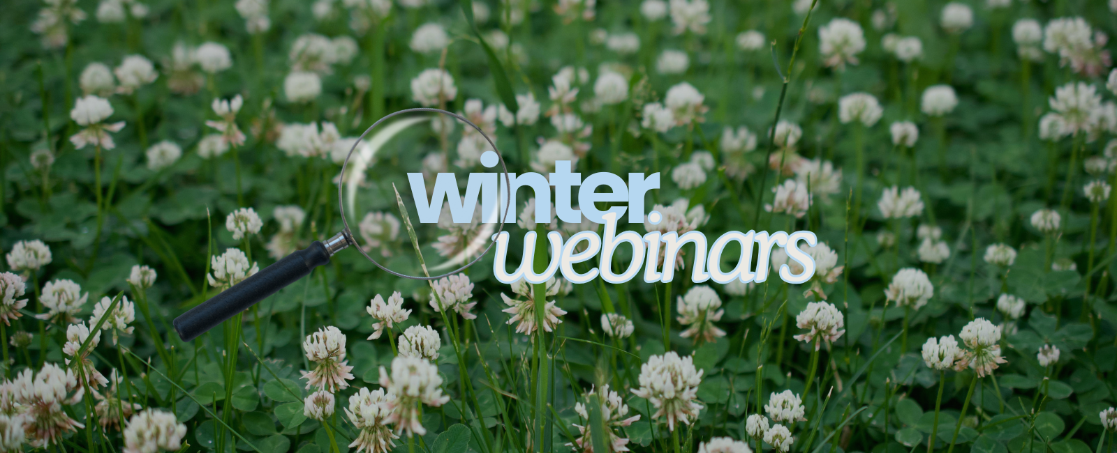 Best Management Practices for Soil Health (Nov 2025)