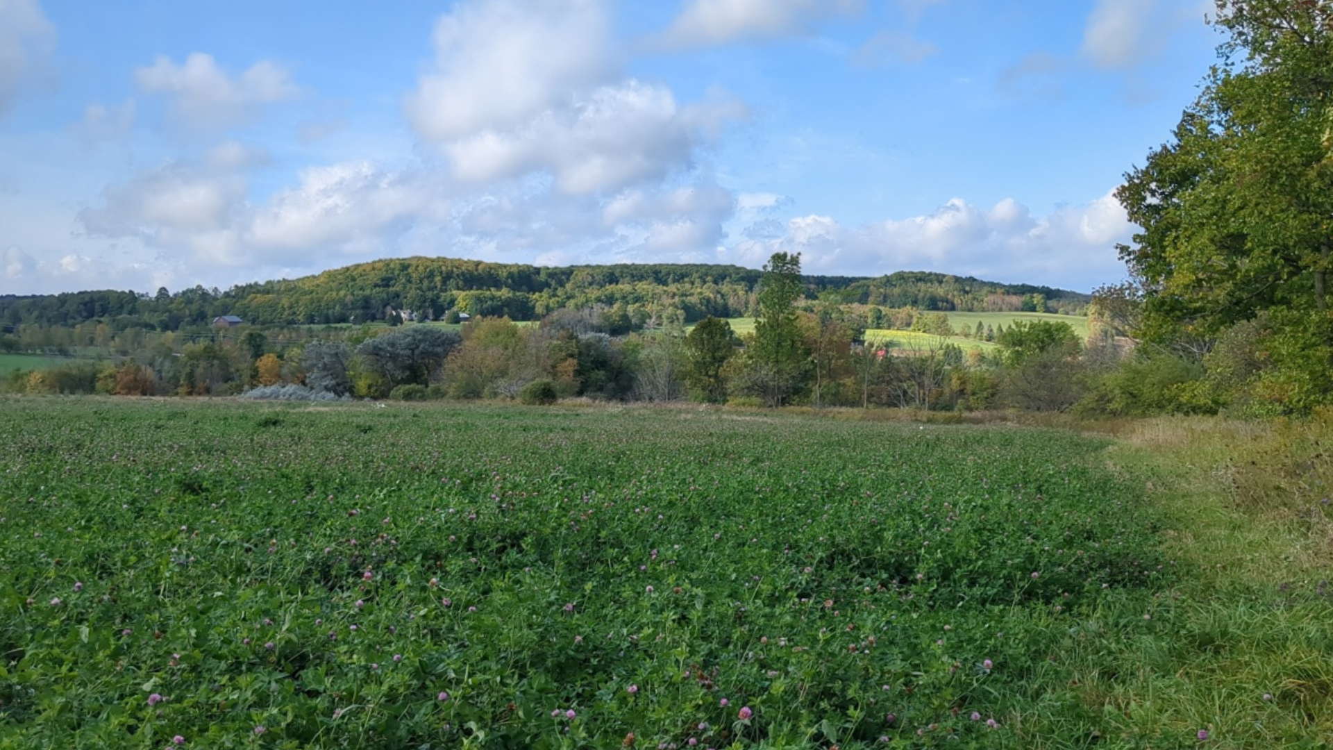 Press Release: Ontario Farmland Trust Protects 101 Acres of Farmland and Natural Areas in Grey
County