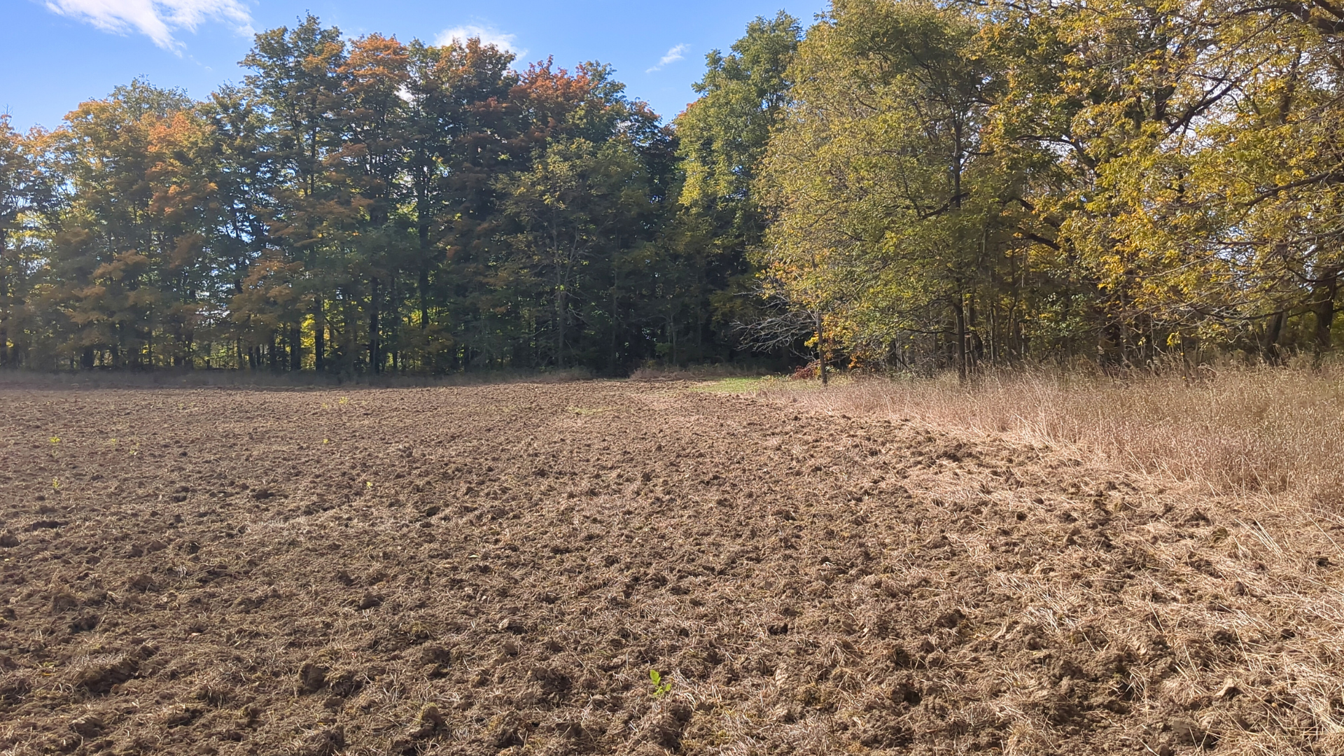Media Release: Ontario Farmland Trust Protects 160 Acres of Farmland in Prince Edward County