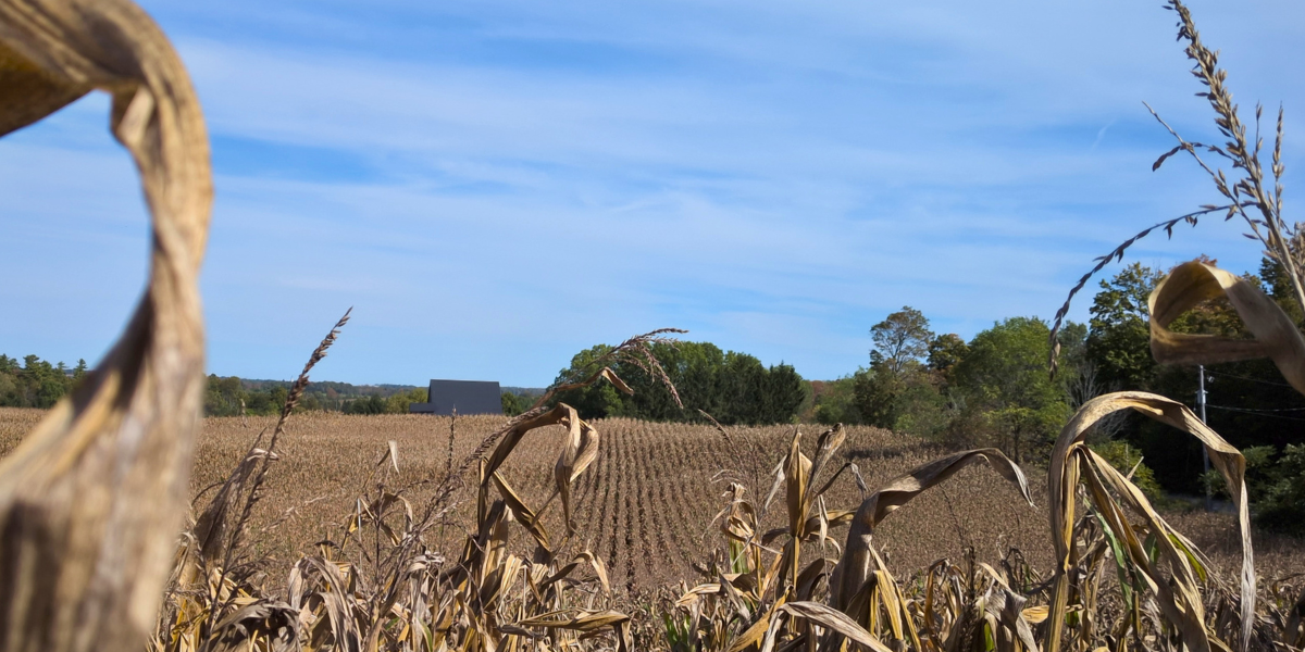Press Release: 125 Acres of Farmland and Natural Habitat Permanently Protected in Grand River Watershed