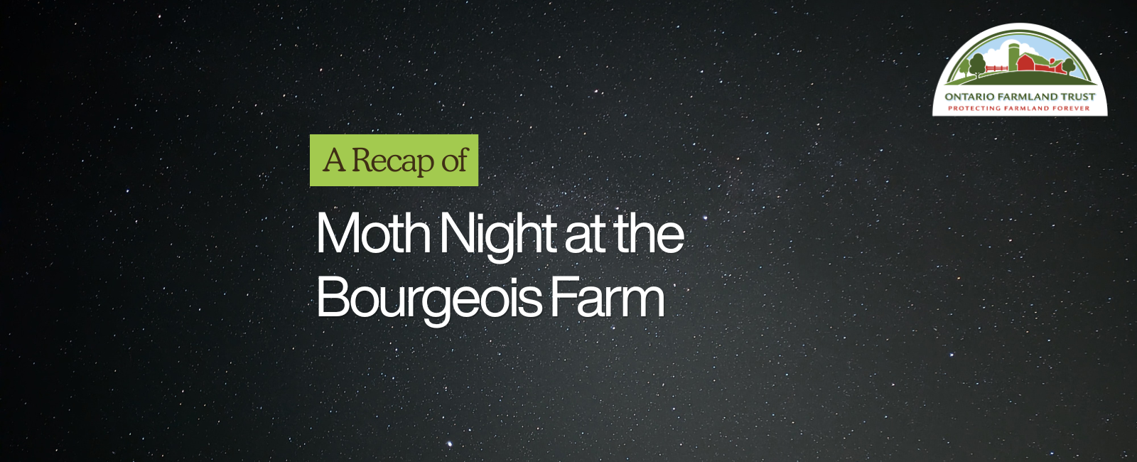 Recap: Moth Night at the Bourgeois Farm