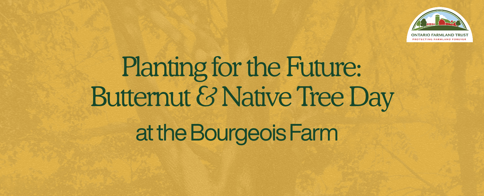 Planting for the Future: Butternut & Native Tree Day – Oct 17